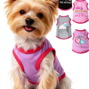 Dog Shirt Dinkinty Small Breed Polyester Design-0